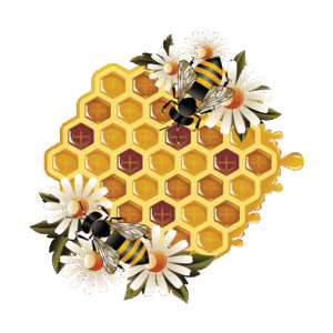 portfolio-work-design-89